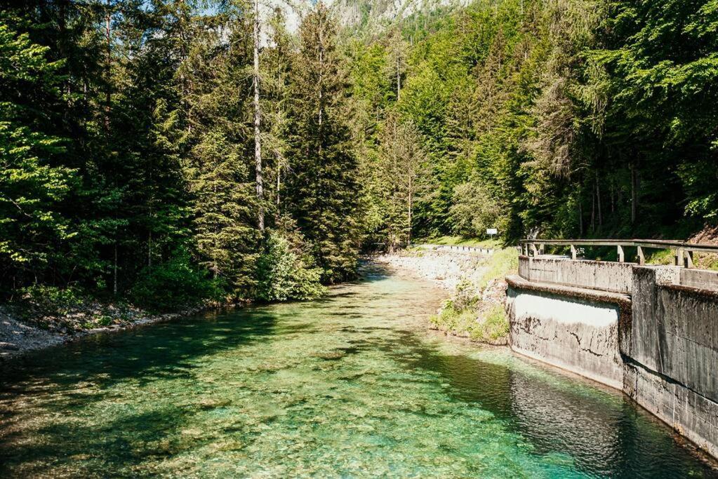 Idyllic Triglav Forest Retreat - Alps, Trails, Lakes, Falls Mojstrana Exteriör bild